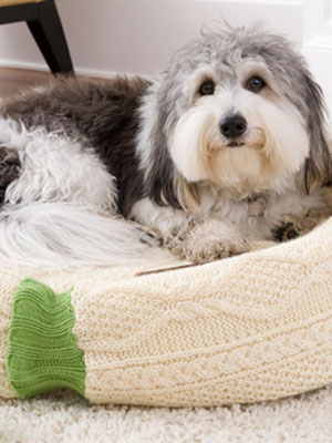 Your dog will love a bed from your old sweatshirt.