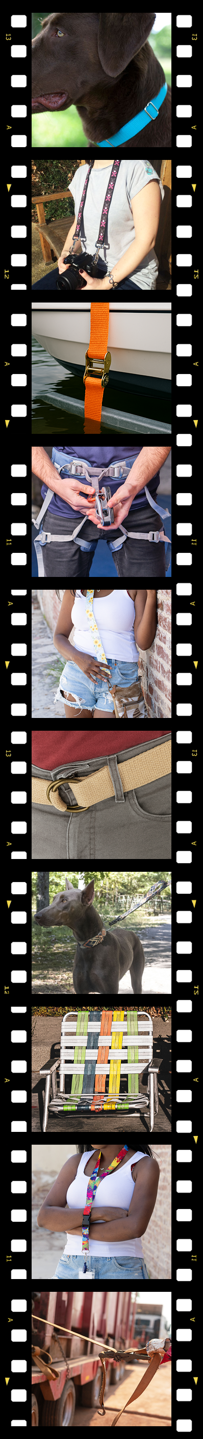 Film strip of assorted uses and applications of webbings